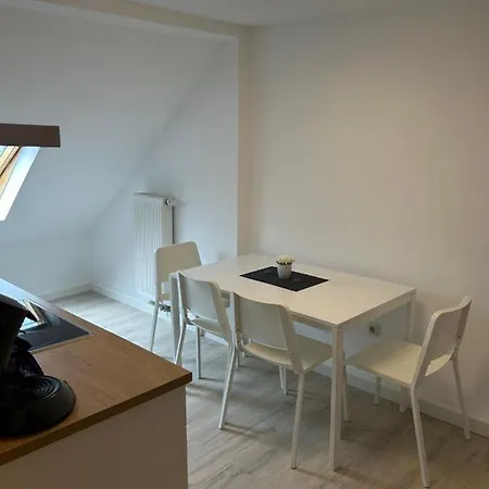 Apartment Ferien Wohnung 4 Gera Exterior photo